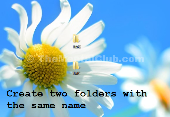 create two folders with the same name