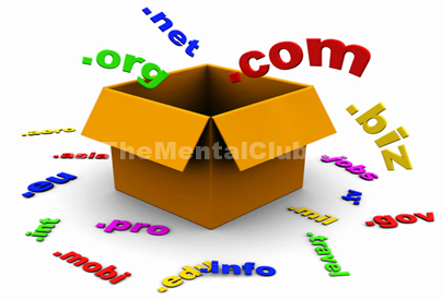 Some important tips before buying a web hosting and a domain name
