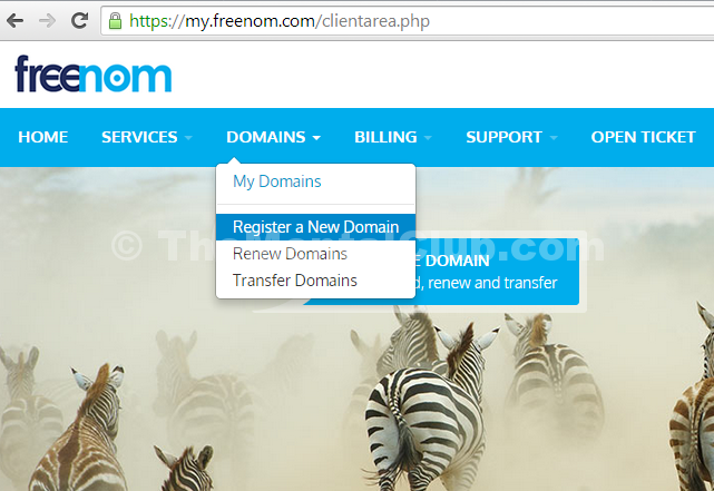 register free domain name