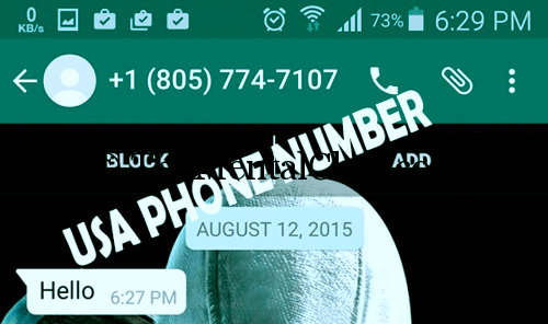 free usa phone number
