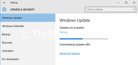 stop windows update
