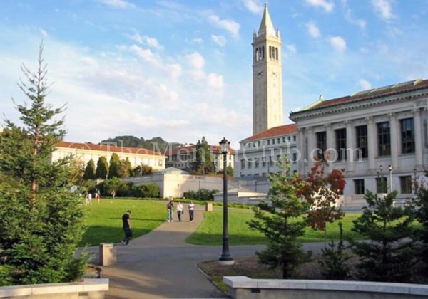 University of California, Barkley