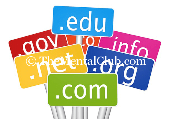 Domain-Name-of-the-website