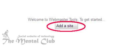 webmaster tools2