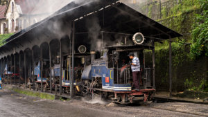 Darjeeling Himalayan Railway (2)
