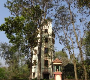 Joypur Jungle- the watch tower