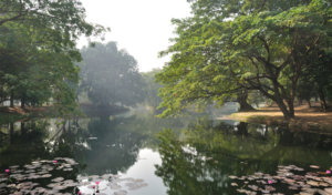 Acharya-Jagadish-Chandra-Bose-Indian-Botanic-Garden nature view