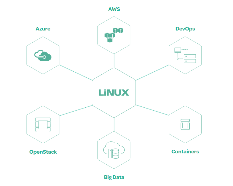 Linux Biogram