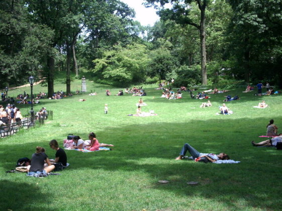 Central Park- couples
