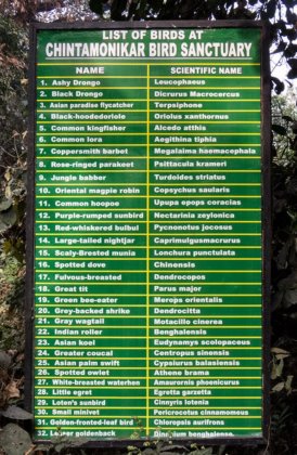 List of birds at Chintamoni Kar Bird Sanctuary