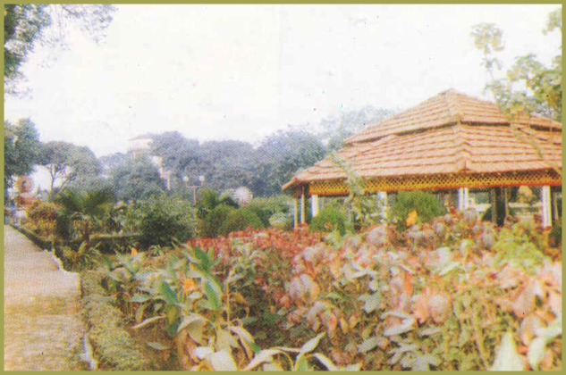Nehru Shanti Park- In Kishanganj - Copy