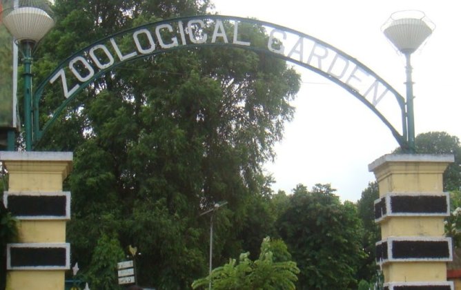 kolkata-alipore-zoo