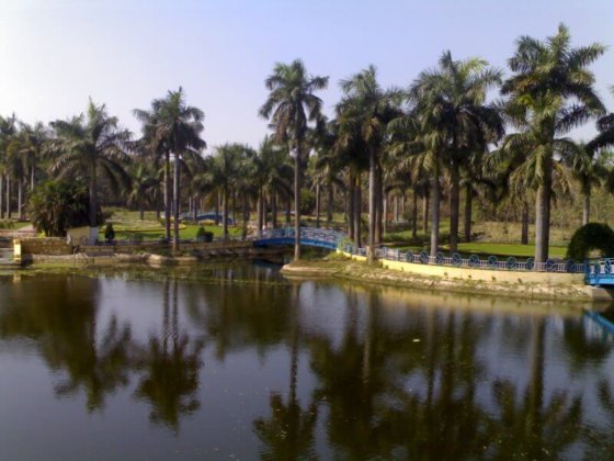 Jawahar Nehru Biological Park Lake