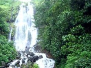 Sadni Waterfalls