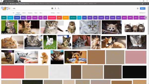 Get Google View Image Option in Search Results