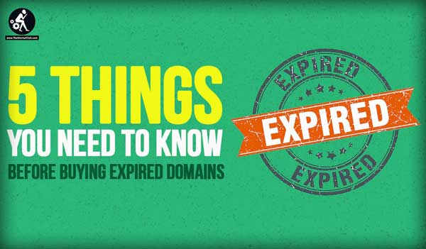 Tips & Suggestion Before Buying Expired Domains