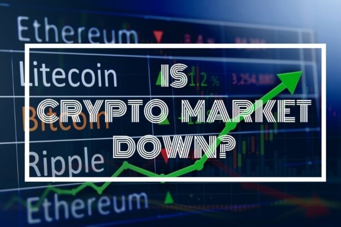 why is crypto stock going down