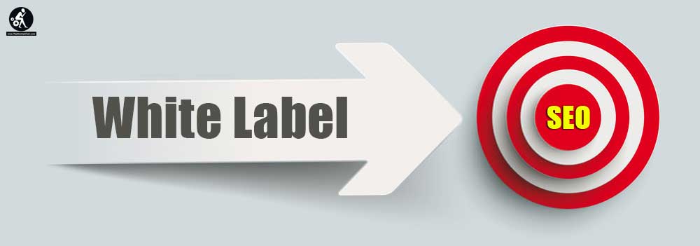 White Label SEO Service Provider