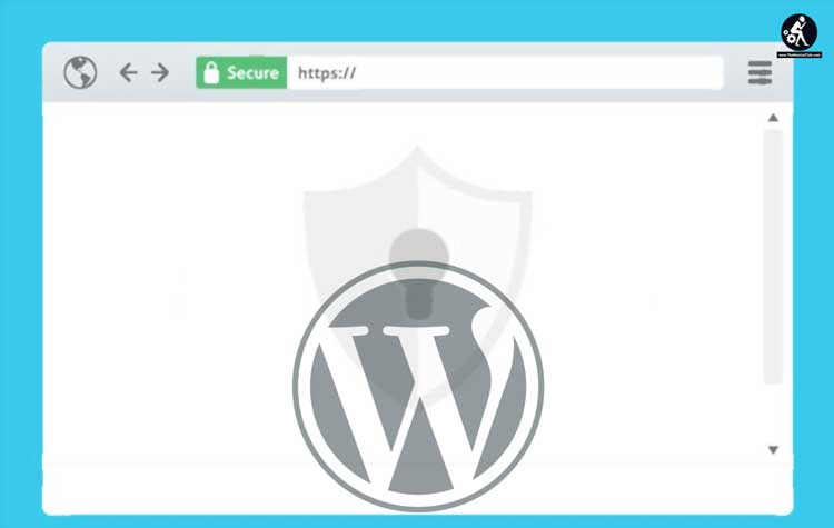 SSL Enabled WordPress Site