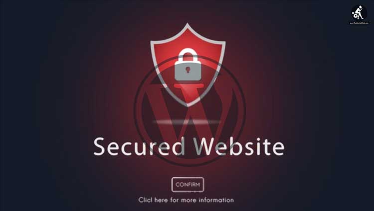 Secured WordPress Website